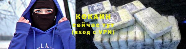 мдпв Бронницы