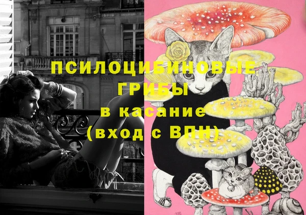 ALPHA-PVP Бугульма