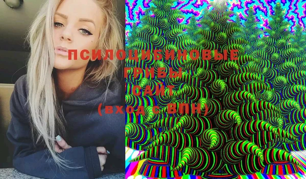 мдпв Бронницы