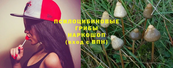ALPHA-PVP Бугульма