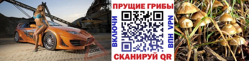 Галлюциногенные грибы Cubensis  Щучье 